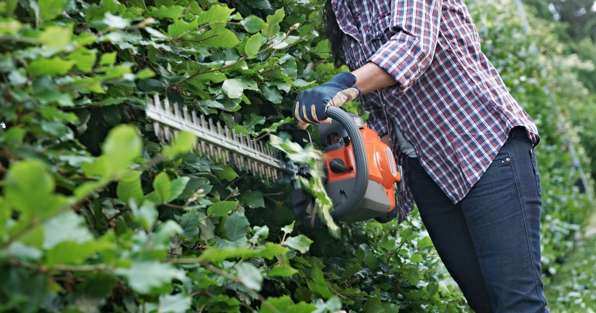 HEDGE TRIMMER