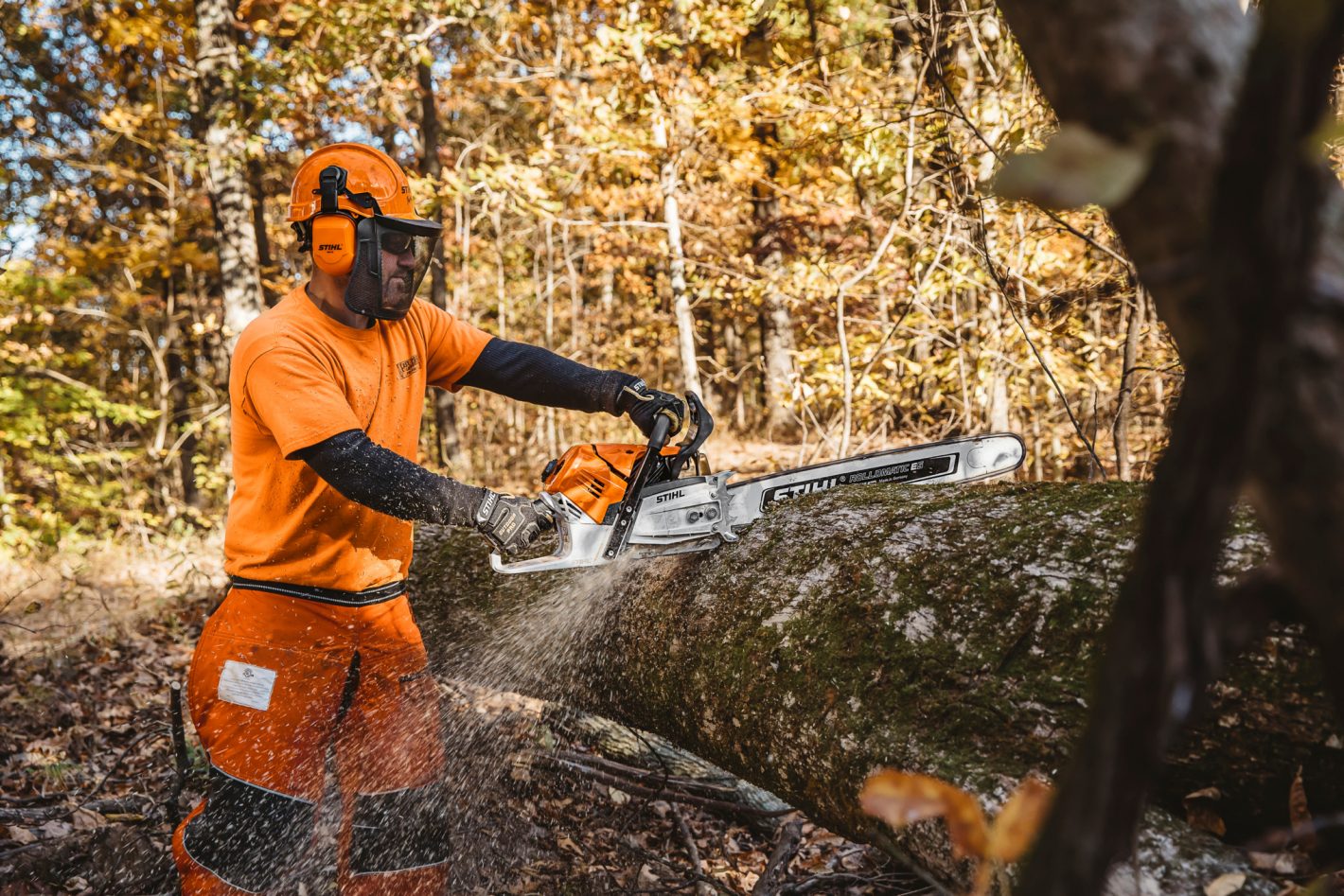 MS 500i Gasoline Chainsaw