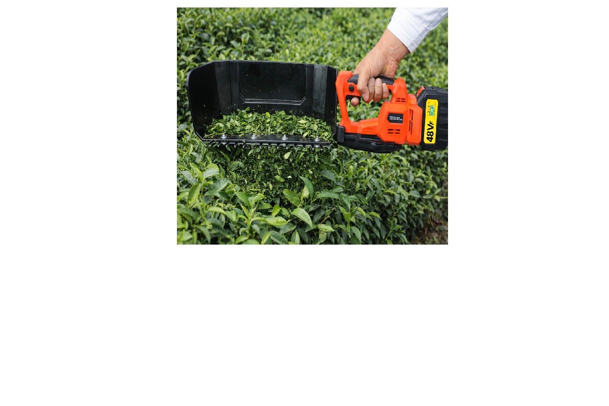 Greenleaf 300 mm Tea Leaf Harvester with 48V 12Ah Lithium Battery for Tea Harvesting