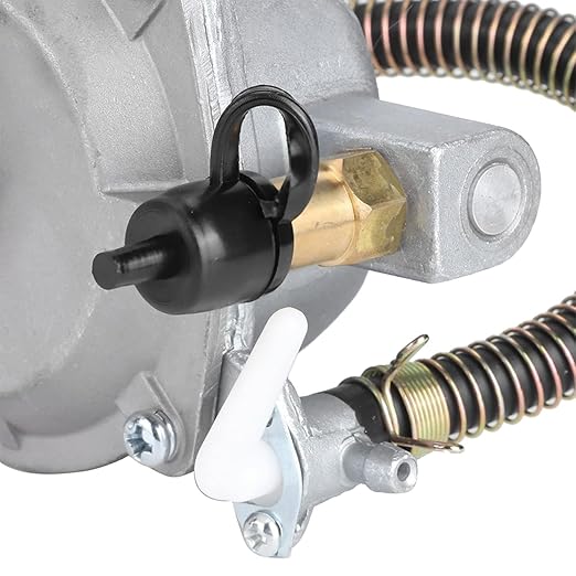 Dual Fuel Carburetor LPG NG Conversion Kit for GX160 168F GX200 170F 2KW-2.8KW Gasoline Generator