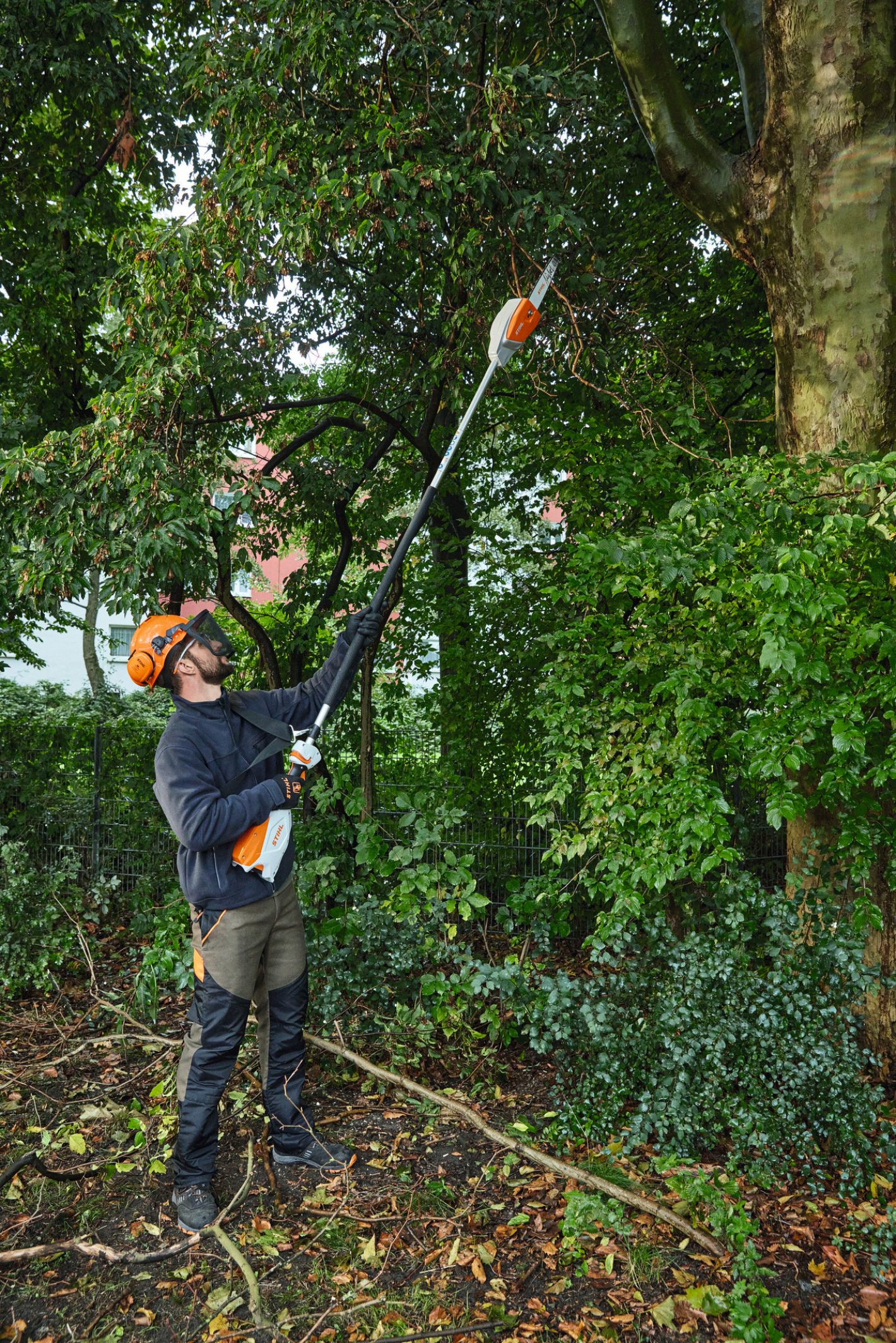 HTA 66 Cordless Pole Pruner - AP System