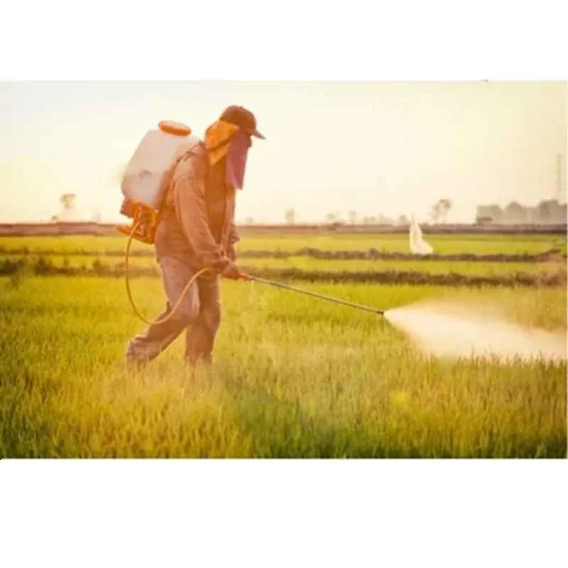 Greenleaf P708 Power Sprayer, Capacity: 20 L